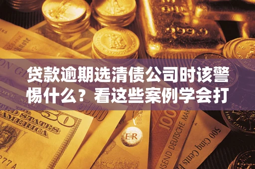 武汉贷款逾期选清债公司时该警惕什么？看这些案例学会打翻身仗