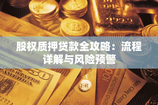 武汉股权质押贷款全攻略：流程详解与风险预警