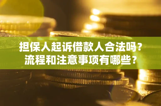 武汉担保人起诉借款人合法吗？流程和注意事项有哪些？