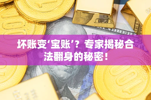 武汉坏账变‘宝账’？专家揭秘合法翻身的秘密！