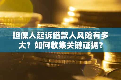 武汉担保人起诉借款人风险有多大？如何收集关键证据？