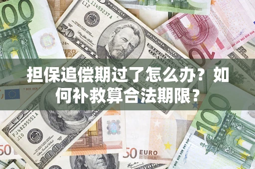 武汉担保追偿期过了怎么办？如何补救算合法期限？