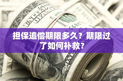 武汉担保追偿期限多久？期限过了如何补救？