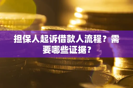武汉担保人起诉借款人流程？需要哪些证据？