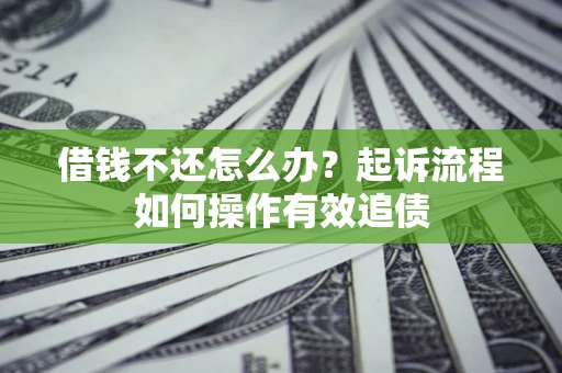 武汉借钱不还怎么办？起诉流程如何操作有效追债