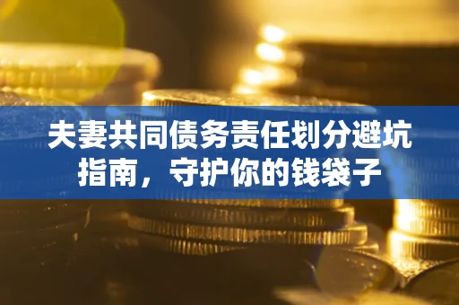 武汉夫妻共同债务责任划分避坑指南，守护你的钱袋子