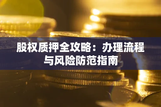 武汉股权质押全攻略：办理流程与风险防范指南