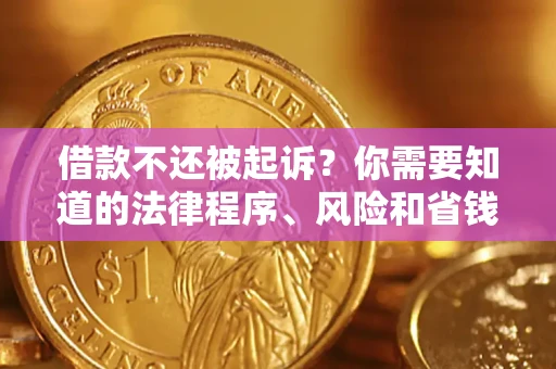武汉借款不还被起诉？你需要知道的法律程序、风险和省钱技巧