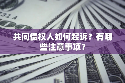 武汉共同债权人如何起诉？有哪些注意事项？